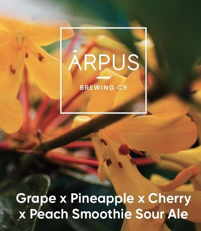 Grape x Pineapple x Cherry x Peach Smoothie Sour Ale - Ārpus Brewing Co. Sour - Smoothie / Pastry 440ml - 1