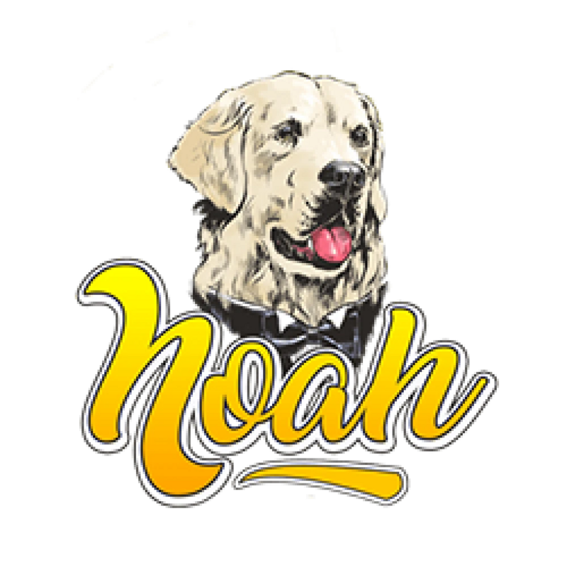 Bere Noah x Brew Your Mind Collab - Bere Noah IPA - Imperial / Double 440ml - 1