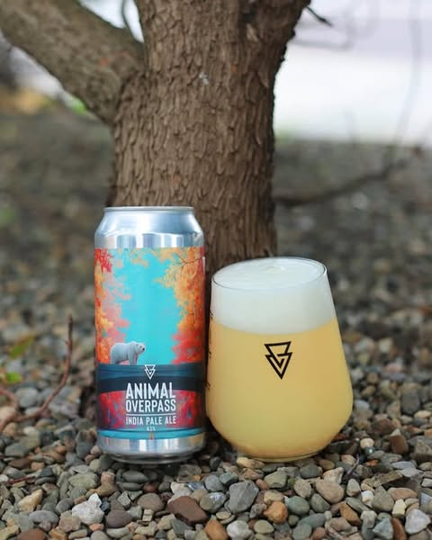 Animal Overpass - Azvex Brewing Company IPA - New England / Hazy 440ml - 1