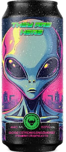 They Are Here - Game Over Brewing Co. Sour - Fruited Gose 440ml - 1