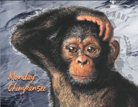 Monday Chimpanzee - Goede Kant van het Spoor IPA - Black / Cascadian Dark Ale 330ml - 1