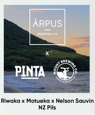 PINTA x Mount Brewing Co Riwaka x Motueka x Nelson Sauvin NZ Pils