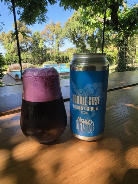 Double Gose : Blueberry & Spirulina - Menno Olivier Brewing Sour - Fruited 440ml - 1