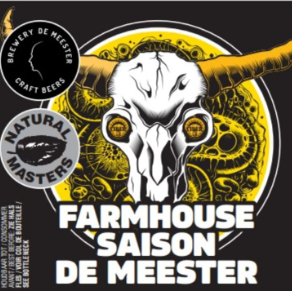 Farmhouse Saison Cider BA - Brewery De Meester Farmhouse Ale - Saison 750ml - 1
