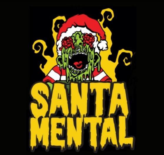 Santa Mental - Cervisiam Sour - Smoothie / Pastry 330ml - 1