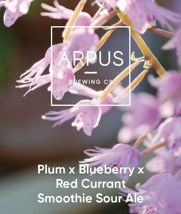 Plum x Blueberry x Red Currant Smoothie Sour Ale - Ārpus Brewing Co. Sour - Smoothie / Pastry 440ml - 1