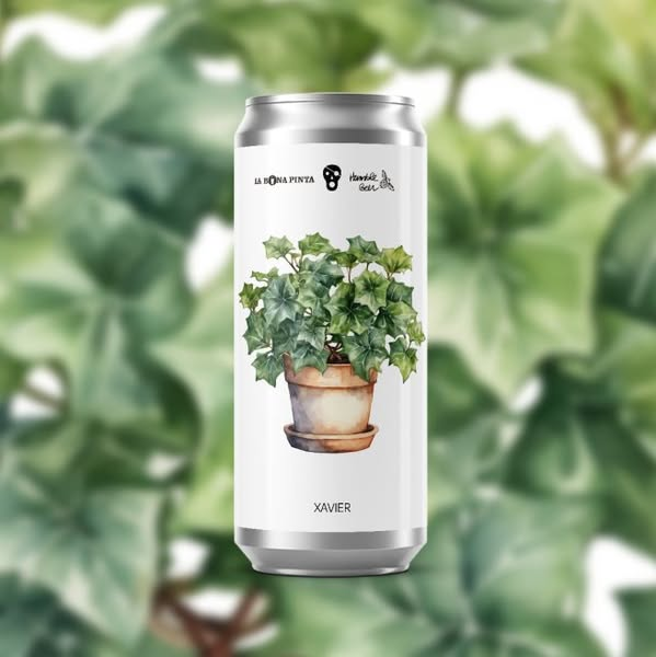 Xavier - La Pirata Brewing IPA - American 440ml - 1