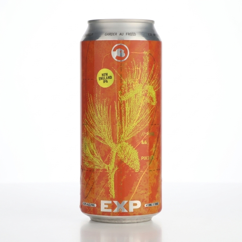 Pins & Pixels - EXP Artisan Brasseur IPA - American 473ml - 2