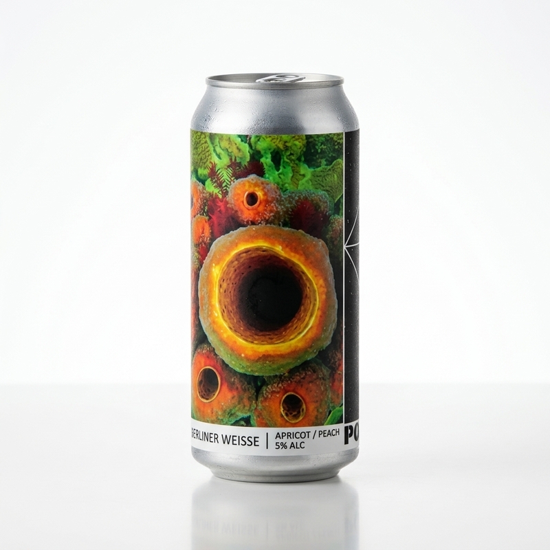 Berliner Weisse – Apricot / Peach - Popihn Sour - Fruited Berliner Weisse 440ml - 1
