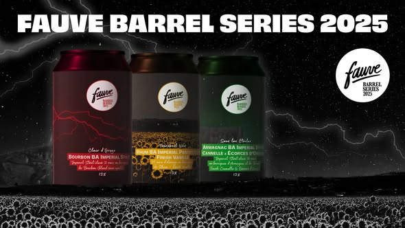 Sous les Étoiles - Fauve Stout - Imperial / Double 330ml - 1