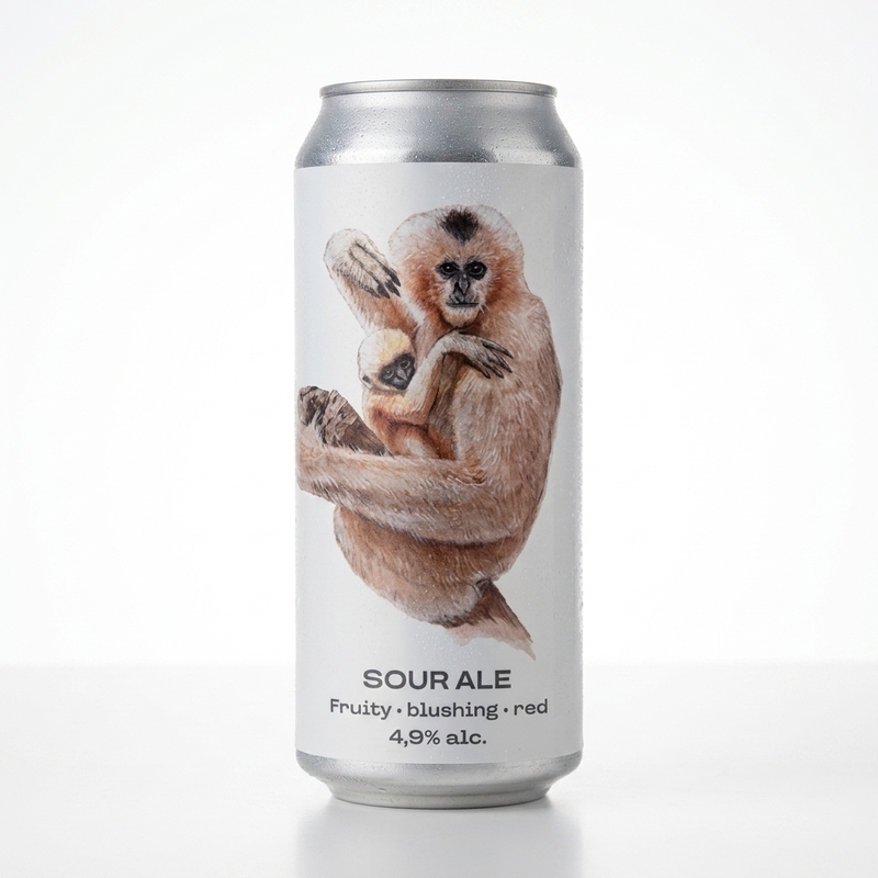 Cao Vit Gibbon - Bevog Brewery Sour - Fruited 500ml - 2