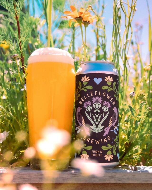 DDH Finch & Thistle - Belleflower Brewing IPA - New England / Hazy 473ml - 1