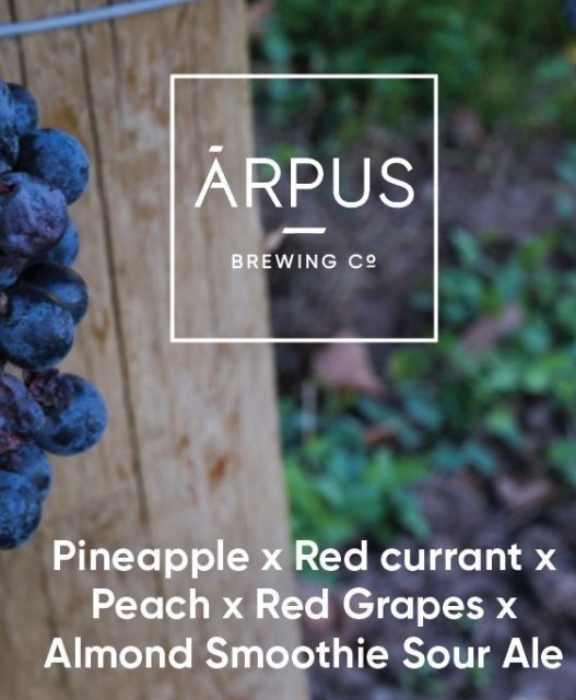 Pineapple x Red Currant x Peach x Red Grapes x Almond Smoothie Sour Ale - Ārpus Brewing Co. Sour - Smoothie / Pastry 440ml - 1