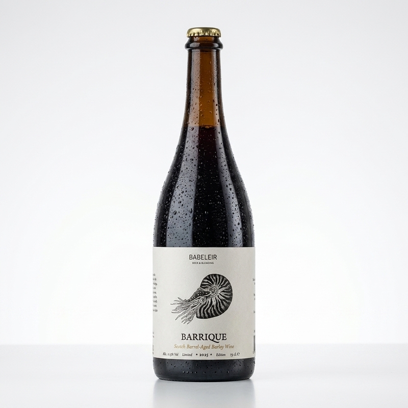 Babeleir Scotch Barleywine BA - BABELEIR Beer & Blending Barleywine - Other 750ml - 2
