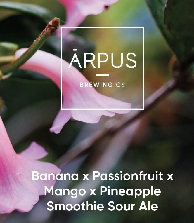 Banana x Passionfruit x Mango x Pineapple Smoothie Sour Ale - Ārpus Brewing Co. Sour - Smoothie / Pastry 440ml - 1