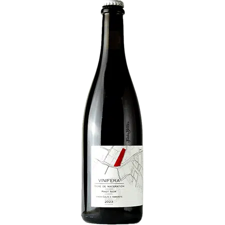 Cuvée Vinifera Pinot Noir 2023 - Ammonite Fruit Beer 750ml - 1