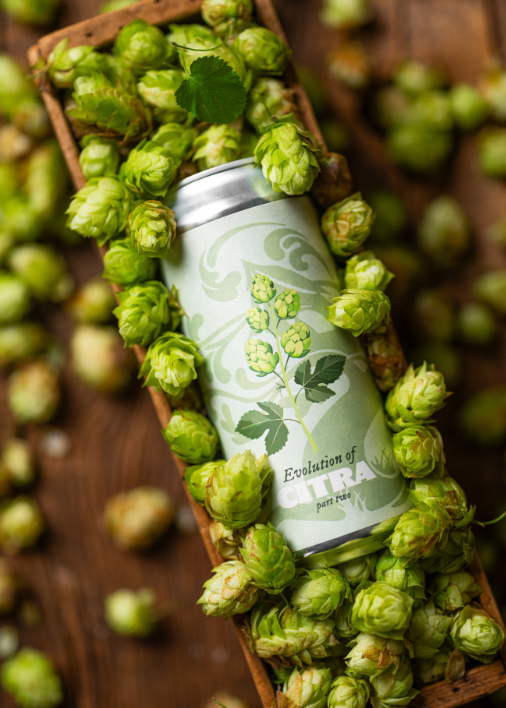 Evolution of Citra Pale Ale - Tree House Brewing Company Pale Ale - American 473ml - 1