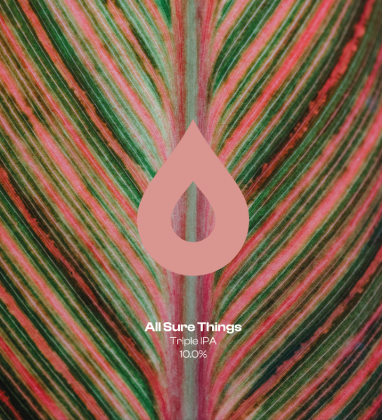 All Sure Things - Polly's Brew Co. IPA - Triple 440ml - 1