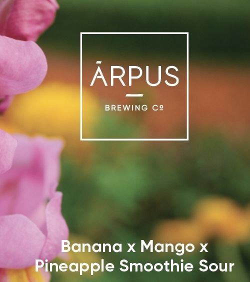 Banana x Mango x Pineapple Smoothie Sour - Ārpus Brewing Co. Sour - Smoothie / Pastry 440ml - 1
