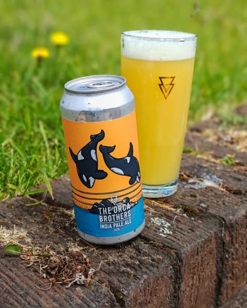 The Orca Brothers - Azvex Brewing Company IPA - New England / Hazy 440ml - 1
