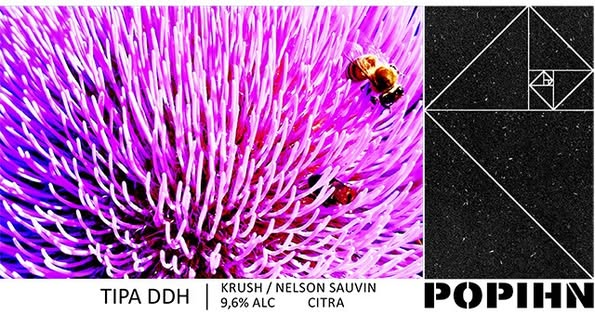 TIPA DDH Krush / Nelson Sauvin